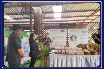 วันที่ 24 มีนาคม 2569 นางสาวรุ่งนะภา กลัดเจริญ ... พารามิเตอร์รูปภาพ 1